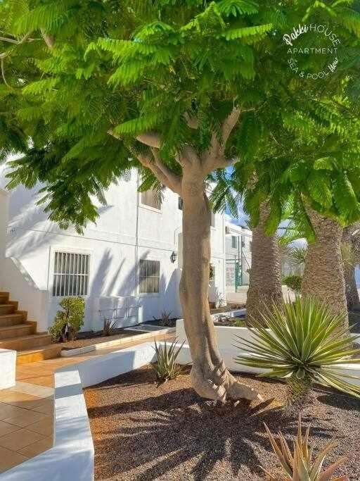 San Valentin Pakky House Corralejo Exterior photo